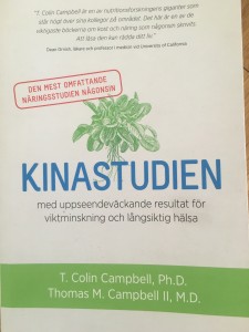 Kinastudien